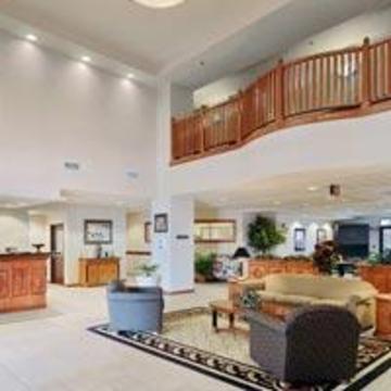 Comfort & Colinas Dfw Hotel Irving
